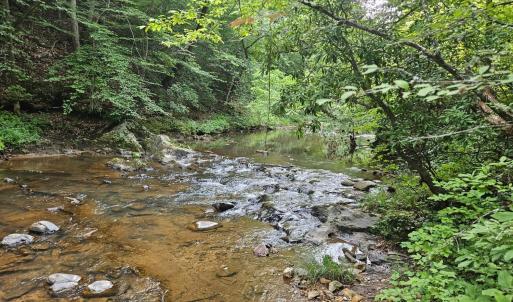 Photo #5 of Trey Court, Madison Heights, VA 16.3 acres