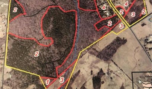 Photo #2 of 5875 Irish Potato, Kannapolis, NC 90.0 acres