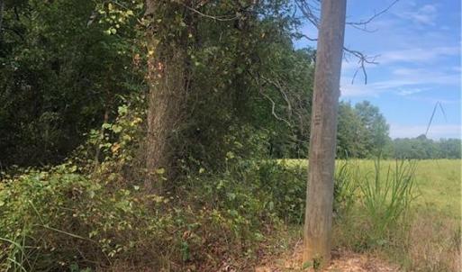 Photo #3 of 5875 Irish Potato, Kannapolis, NC 90.0 acres