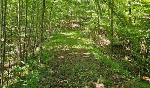 Photo #5 of Gladys Road, Altavista, VA 4.9 acres