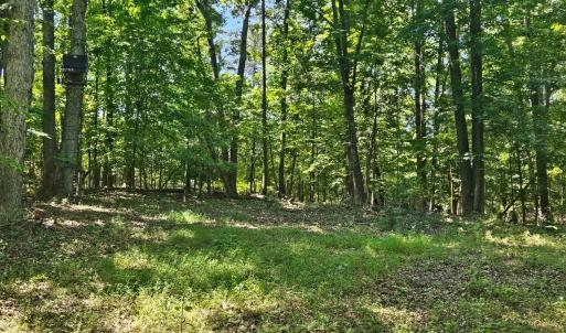 Photo #1 of Gladys Road, Altavista, VA 4.9 acres
