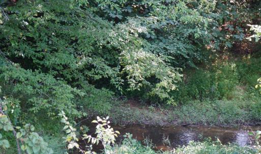 Photo #6 of Felix Road, Nathalie, VA 9.3 acres