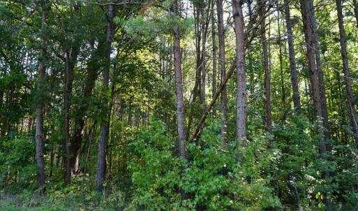 Photo #2 of Felix Road, Nathalie, VA 9.3 acres