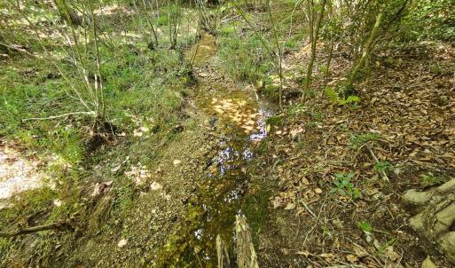 Photo #14 of West James Anderson Hwy, Gladstone, VA 100.0 acres