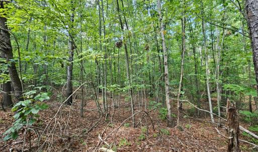 Photo #33 of West James Anderson Hwy, Gladstone, VA 100.0 acres