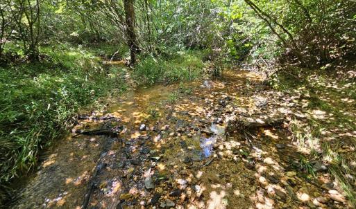 Photo #12 of West James Anderson Hwy, Gladstone, VA 100.0 acres