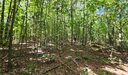 Photo #17 of West James Anderson Hwy, Gladstone, VA 100.0 acres