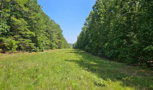 Photo #5 of West James Anderson Hwy, Gladstone, VA 100.0 acres