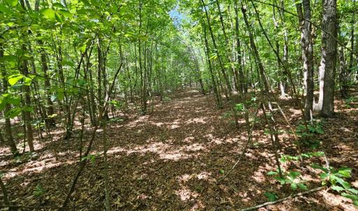 Photo #26 of West James Anderson Hwy, Gladstone, VA 100.0 acres