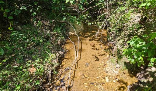 Photo #21 of West James Anderson Hwy, Gladstone, VA 100.0 acres