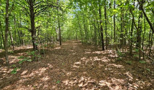 Photo #10 of West James Anderson Hwy, Gladstone, VA 100.0 acres
