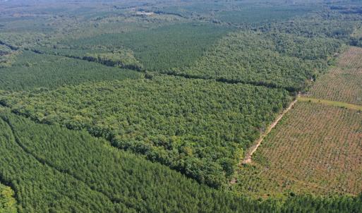 Photo #1 of West James Anderson Hwy, Gladstone, VA 100.0 acres