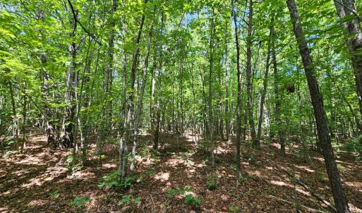 Photo #24 of West James Anderson Hwy, Gladstone, VA 100.0 acres