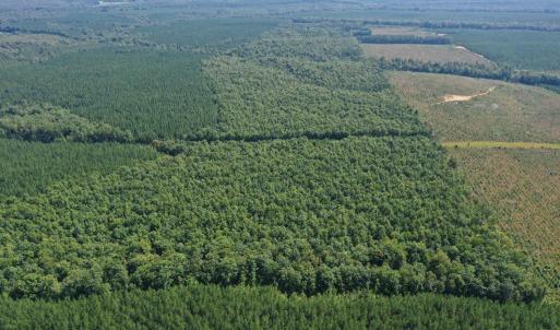 Photo #29 of West James Anderson Hwy, Gladstone, VA 100.0 acres