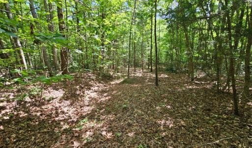 Photo #18 of West James Anderson Hwy, Gladstone, VA 100.0 acres
