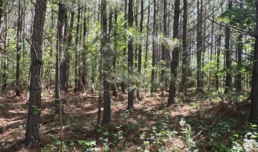 Photo #1 of West Gretna Road, Gretna, VA 258.0 acres
