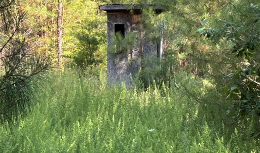 Photo #3 of West Gretna Road, Gretna, VA 258.0 acres