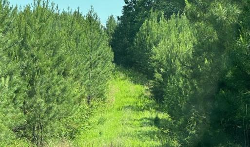 Photo #2 of West Gretna Road, Gretna, VA 258.0 acres