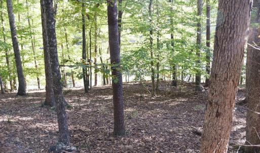 Photo #11 of Heron Pointe Drive, Gretna, VA 1.1 acres