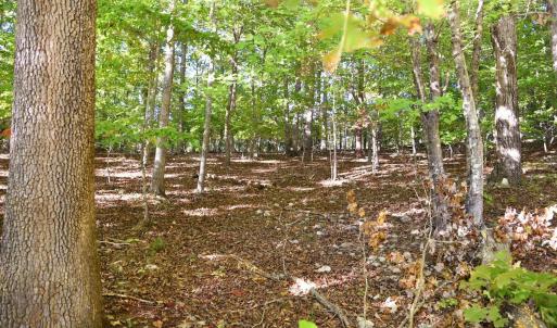 Photo #12 of Heron Pointe Drive, Gretna, VA 1.1 acres