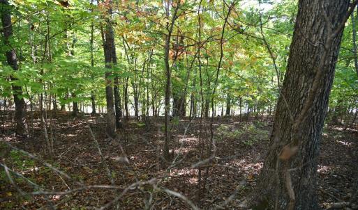 Photo #18 of Heron Pointe Drive, Gretna, VA 1.1 acres