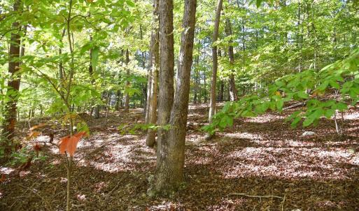 Photo #14 of Heron Pointe Drive, Gretna, VA 1.1 acres