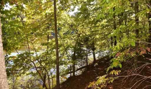 Photo #13 of Heron Pointe Drive, Gretna, VA 1.1 acres