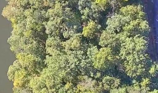 Photo #20 of Heron Pointe Drive, Gretna, VA 1.1 acres