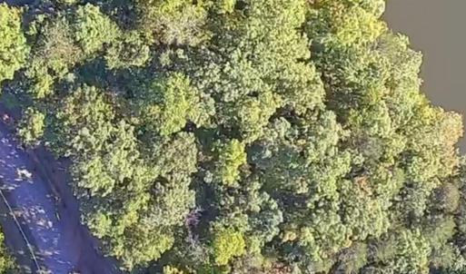 Photo #21 of Heron Pointe Drive, Gretna, VA 1.1 acres