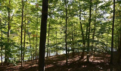 Photo #17 of Heron Pointe Drive, Gretna, VA 1.1 acres