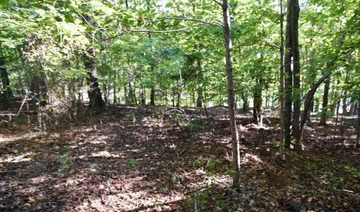 Photo #10 of Heron Pointe Drive, Gretna, VA 1.1 acres