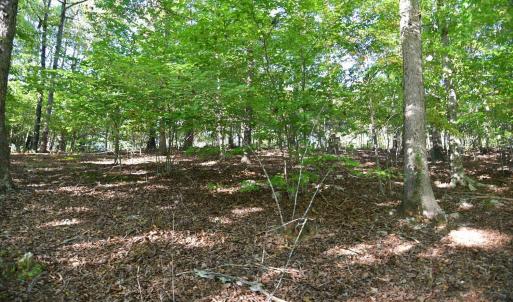 Photo #16 of Heron Pointe Drive, Gretna, VA 1.1 acres