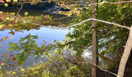 Photo #8 of Heron Pointe Drive, Gretna, VA 1.1 acres