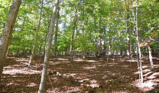 Photo #15 of Heron Pointe Drive, Gretna, VA 1.1 acres