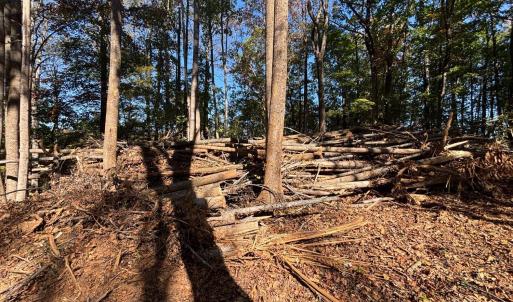 Photo #6 of Locust Drive, Cascade, VA 0.9 acres