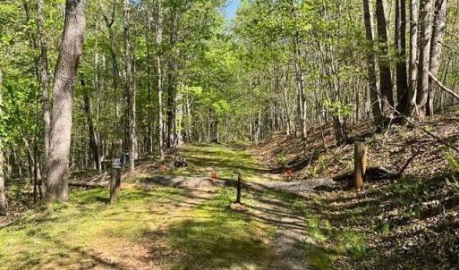 Photo #10 of Mountain Ridge Road, Glade Hill, VA 78.9 acres