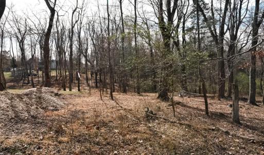 Photo #15 of Cottontown Road, Forest, VA 10.1 acres