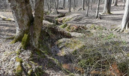 Photo #9 of Cottontown Road, Forest, VA 10.1 acres