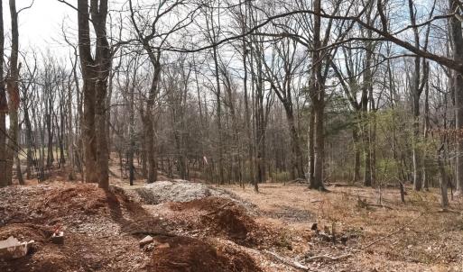 Photo #14 of Cottontown Road, Forest, VA 10.1 acres