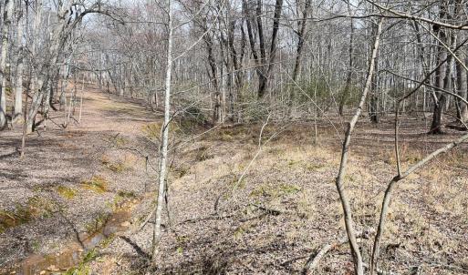 Photo #10 of Cottontown Road, Forest, VA 10.1 acres
