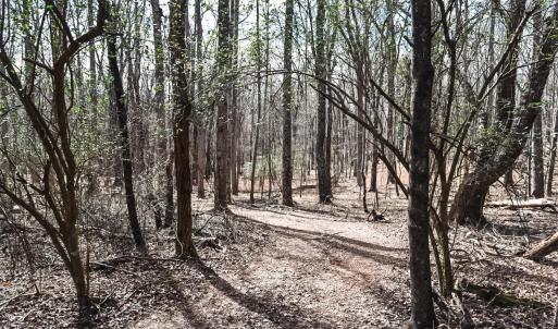Photo #17 of Cottontown Road, Forest, VA 10.1 acres