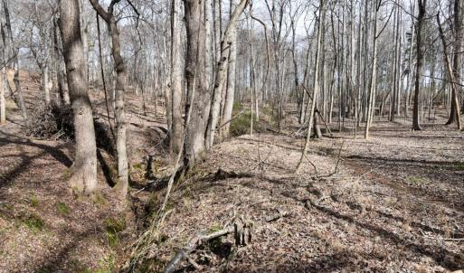 Photo #11 of Cottontown Road, Forest, VA 10.1 acres