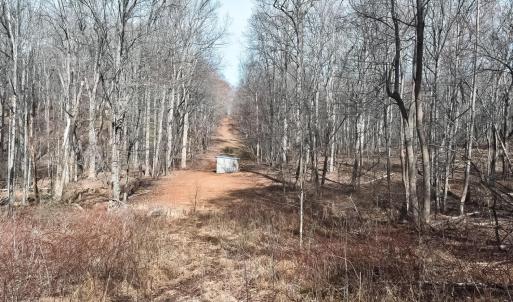 Photo #8 of Cottontown Road, Forest, VA 10.1 acres