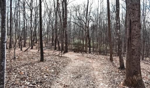 Photo #16 of Cottontown Road, Forest, VA 10.1 acres