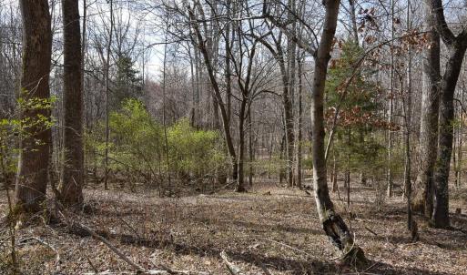 Photo #13 of Cottontown Road, Forest, VA 10.1 acres