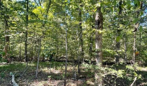 Photo #5 of Lakasie Dr, Farmville, VA 3.8 acres