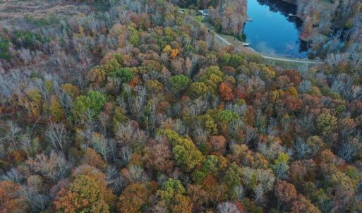 Photo #21 of Lakasie Dr, Farmville, VA 3.8 acres