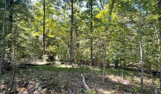 Photo #4 of Lakasie Dr, Farmville, VA 3.8 acres