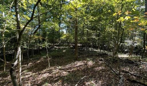 Photo #7 of Lakasie Dr, Farmville, VA 3.8 acres