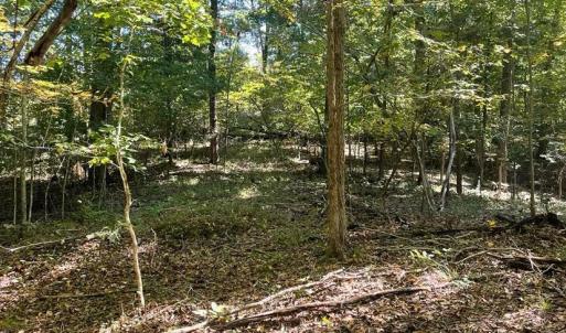 Photo #6 of Lakasie Dr, Farmville, VA 3.8 acres